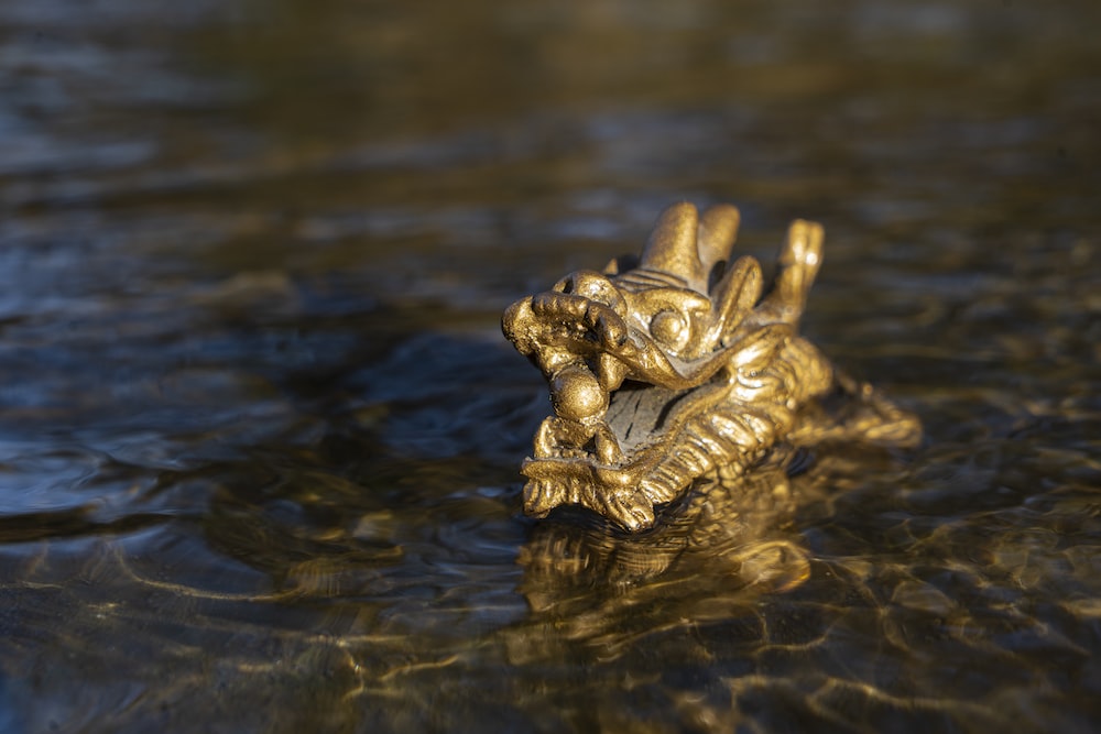 Minelab Gold Monster 5 In Skidplate